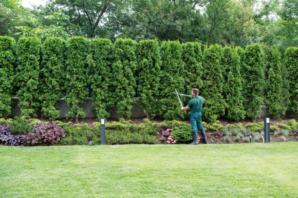 Best Arborist Consultation Services  in Phoenixville, PA